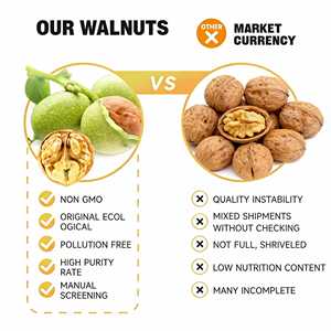 Medias nueces de nogal al por mayor de fábrica Hanjiang para hornear y cocinar, ricas en <span class=keywords><strong>omega</strong></span>-<span class=keywords><strong>3</strong></span> - Product Image 3
