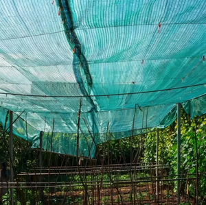 Filets d'ombrage verts en PE pour serres et pépinières avec protection UV à 50 % – Protection solaire extérieure pour jardin - Product Image 4