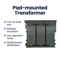 Transformateur de puissance triphasé immergé dans l'huile personnalisable 1000 KVA 60 Hz, transformateur monté sur socle