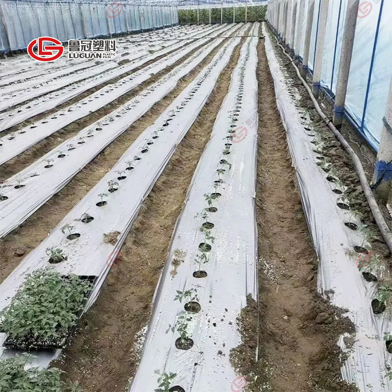 Black and Silver Reflective Mulch Film