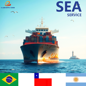 Il prezzo più basso per il trasporto via mare dalla Cina al Brasile, Cile e Argentina, con servizio dddp (consegnato a pagamento) - Product Image 6