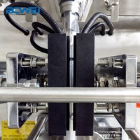 Bowei Machine de remplissage et de scellage, Machine d'emballage d'huile d'olive pour poudre, vente de Chips, fabricants de jus