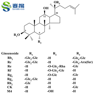 Экстракт женьшеня, порошок, оптовая цена, натуральный экстракт женьшеня, 20% женьшеня - Product Image 5