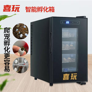 Incubatrice per bambini completamente intelligente rettile lucertola pappagallo uccello tartaruga serpente uovo per animali domestici incubatrice di uova - Product Image 3