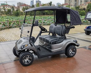 High Quality 2 Seater Battery or <strong>Petrol</strong> Motorised <strong>Golf</strong> Cart <strong>Buggy</strong> That with Electric or Gas Power <strong>for</strong> <strong>Sale</strong> - Product Image 2