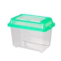 Table basse d'été pour poissons, Mini Aquarium, poissons rouges, animaux de compagnie