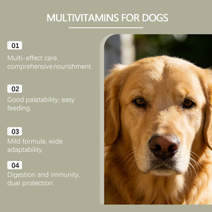 Masticables Multivitamínicos para Perros con Sabor a Pollo, Probióticos, Golosinas Diarias para el Bienestar de las Mascotas - Product Image 2