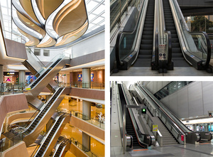 Chiết Giang Fuji nhà máy giá rẻ trong nhà và ngoài trời thang cuốn và di chuyển đi bộ - Product Image 5