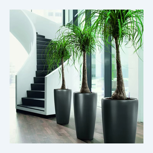 Thủy canh hệ thống thiết lập với tráng men gốm nồi nhựa sợi thủy tinh vòng trồng vườn trang trí nội thất máy tính để bàn nhà hàng Điều kiện Mới - Product Image 1