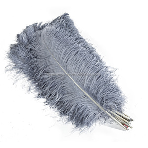 Fournisseurs en gros de grandes <span class=keywords><strong>plumes</strong></span> d'autruche <span class=keywords><strong>blanches</strong></span> de 75-80 cm pour la décoration de carnaval et de festival, <span class=keywords><strong>plumes</strong></span> d'autruche décoratives pour les mariages et les fêtes - Product Image 1