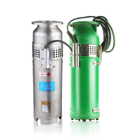 惊人的单级泵0.75kw低压电动潜水水泵220立方米/h高容量喷泉泵
