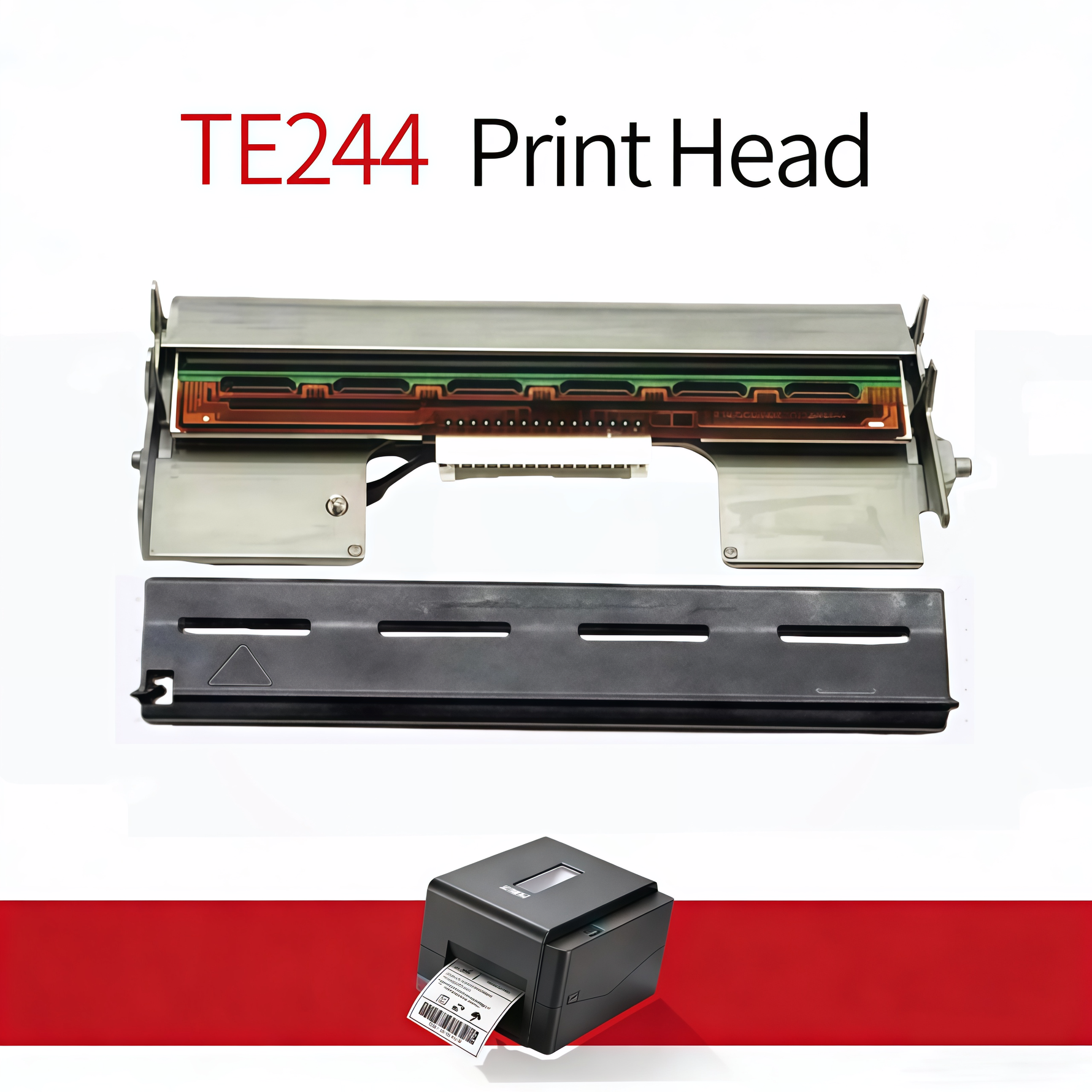 TE244 print head