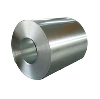 Service tout-en-un : Bobine en acier inoxydable 304 304L 316 316L pour installations de traitement des déchets