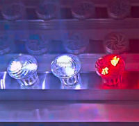 Nouvelle ampoule LED intelligente E14 RGB Cabochon 60mm Manège d'attractions IP66 Corps en plastique pour éclairage ponctuel de parc à thème