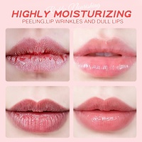DAN CHUN JI Lipstik Korea Labiales Aloe Vera Sunscreen Matte Tahan Lama Melembapkan Kosmetik Gaya Korea Lip Balm