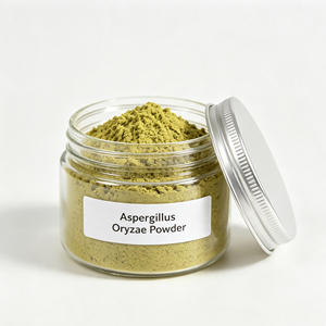 Poudre de spores d'Aspergillus Oryzae 5 milliards UFC/g, qualité alimentaire, additif alimentaire à haute lipase <span class=keywords><strong>pour</strong></span> améliorer la digestibilité chez les porcs pondeurs - Product Image 1