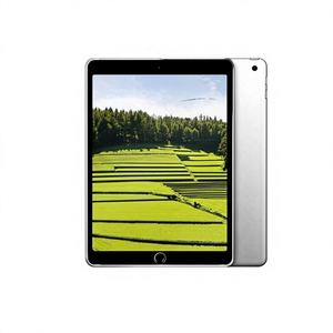 LX Tech - Lámina Protectora de Pantalla de PET Suave para iPad 5/6 de 9.7 Pulgadas, Transparente HD, Protección de Privacidad de 360°, Instalación Sencilla - Product Image 1