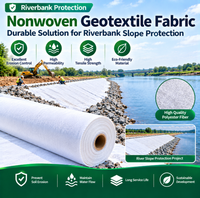 Tissu géotextile non tissé efficace, haute résistance, durable pour la protection des berges fluviales