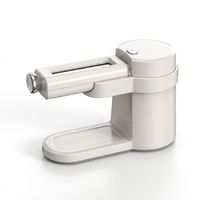 Machine à pâtes électrique automatique en acier inoxydable 100W, multifonctionnelle pour la maison, pour la fabrication de nouilles et de feuilles de raviolis