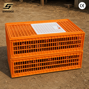 Jaula <span class=keywords><strong>de</strong></span> Transporte <span class=keywords><strong>de</strong></span> Aves <span class=keywords><strong>de</strong></span> Corral, Resistente y Apilable, para Compradores Mayoristas y Uso Agrícola - Product Image 2