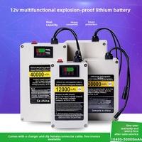 12V Lithium-Batterie Modell 12-125 mit Großer Kapazität und Intelligentem Schutz für LED-Xenon-Lampen, Audio-Ballmaschinen und Überwachungsgeräte