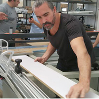 Scie à panneaux horizontale CNC à découpe transversale motorisée de précision avec mouvement automatique