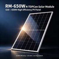 Module solaire HJT LongjI RM-650W 620-650W, 132 cellules, 24,2 % d'efficacité élevée, faible dégradation, demi-cellule, bifacial, panneau double vitrage