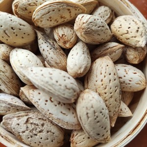 Almendro crudo con Concha, sin agrietar - Product Image 3