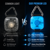Collier lumineux universel en plastique pour animaux de compagnie, lumière de sécurité nocturne, anti-perte, pour chats et chiens, lumière de marche, étanche, portable, multi-modes