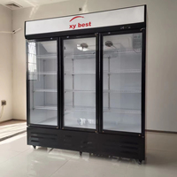 Congélateur à porte vitrée pour supermarchés, refroidissement direct, étagères réglables, 220V/110V, vitrine réfrigérée