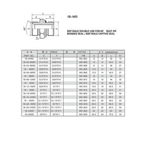 Adaptador de Manguera G3/8X19 para Acoplamiento Rápido de Acero BSP MACHO DOBLE USO PARA 60 °   Sello <span class=keywords><strong>SAET</strong></span> o Sello de Seguridad/BSP Macho con Anillo de Retención - Product Image 6