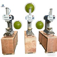 Petite machine verticale de pelage de noix de coco sèche, machine de découpe de noix de coco verte, fixation par griffe pneumatique, machine de pelage de coque de noix de coco