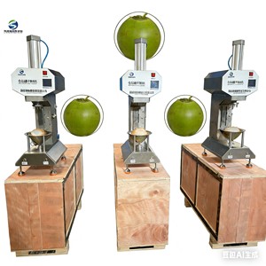 Küçük Dikey Kuru Hindistan Cevizi Soyma Makinesi Yeşil Hindistan Cevizi Kesme Makinesi Hava Kepçeli Hindistan Cevizi Kabuğu Soyma Makinesi - Product Image 4