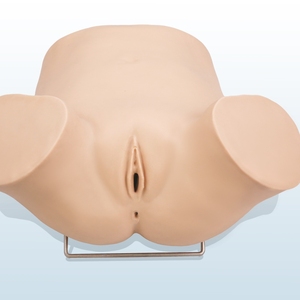 Modelo de Entrenamiento para Examen de Secreción Ginecológica, Modelo de PVC para Entrenamiento de Médicos de Obstetricia y Ginecología, <span class=keywords><strong>Ciencias</strong></span> Médicas - Product Image 4