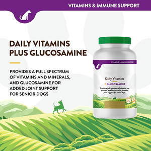 <span class=keywords><strong>Vitaminas</strong></span> Diarias para <span class=keywords><strong>Perros</strong></span> Mayores OEM/ODM con Glucosamina - Masticables Multivitamínicos Completos y de Apoyo a las Articulaciones para Articulaciones Saludables - Product Image 2