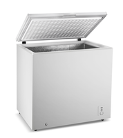 Congélateur coffre commercial grande capacité 271L pour crème glacée, porte simple, en acier inoxydable, avec contrôle numérique de la température