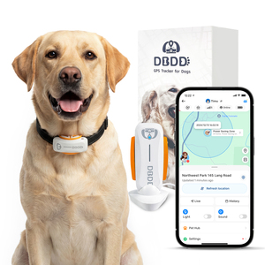 Traceur GPS intelligent pour animaux de compagnie, étanche, avec suivi de localisation en temps réel, suivi d'activité, assistant vétérinaire IA et longue autonomie de la batterie - Product Image 1