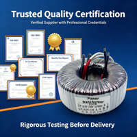 Transformateur toroïdal audio basse fréquence AC12V 50/60Hz, multi-spécifications, tout en cuivre, isolation double couche isolée