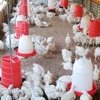 QA volaille équipement ajuster la hauteur manuel volaille buveur poulet mangeoire avec jambes