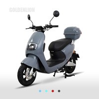 Moto électrique à grandes roues, légère, vitesse maximale 45 km/h, motos électriques