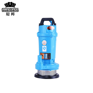 <span class=keywords><strong>Pompe</strong></span> à eau submergée domestique à haute pression de Offre Spéciale 0.25KW <span class=keywords><strong>pour</strong></span> l'irrigation agricole <span class=keywords><strong>pompe</strong></span> de puits personnalisable d'OEM de sortie de 1 pouce - Product Image 1