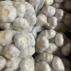 Aglio Fresco di Alta Qualità a Prezzo all'Ingrosso, Aglio Fresco Viola/Rosso/Bianco Naturale a Basso Costo - Product Image 4