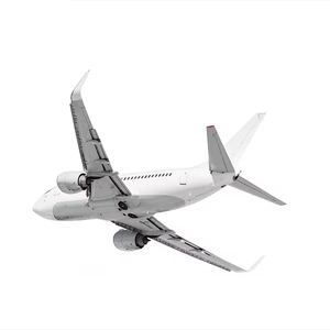 Specialisti nella Logistica del Medio Oriente: Soluzioni di Trasporto Aereo che Consegna Risultati - Product Image 1