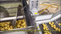 Nieuwe model commerciële automatische groentewas- en schilmachine, multifunctionele fruit- en groentereiniger/schilmachine