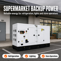 Groupe électrogène diesel insonorisé Isuzu 20 kVA triphasé 400 V 50/60 Hz pour alimentation de secours
