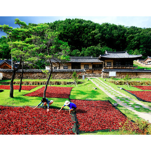 [Biggalchan 130g] Épice Traditionnelle de Haute Qualité pour Coffret Cadeau Premium Poudre de Piment Fort Sélectionné aux Couleurs Vives - Product Image 1