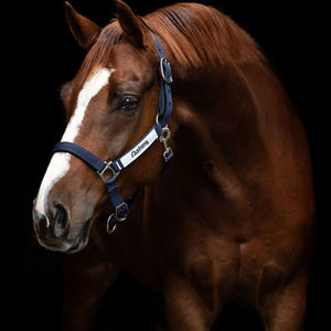 Personalizzato lucido viaggio equestre cavezza per eventi professionali robusto <span class=keywords><strong>cavallo</strong></span> Headstall materiale in Nylon di qualità pesante - Product Image 6