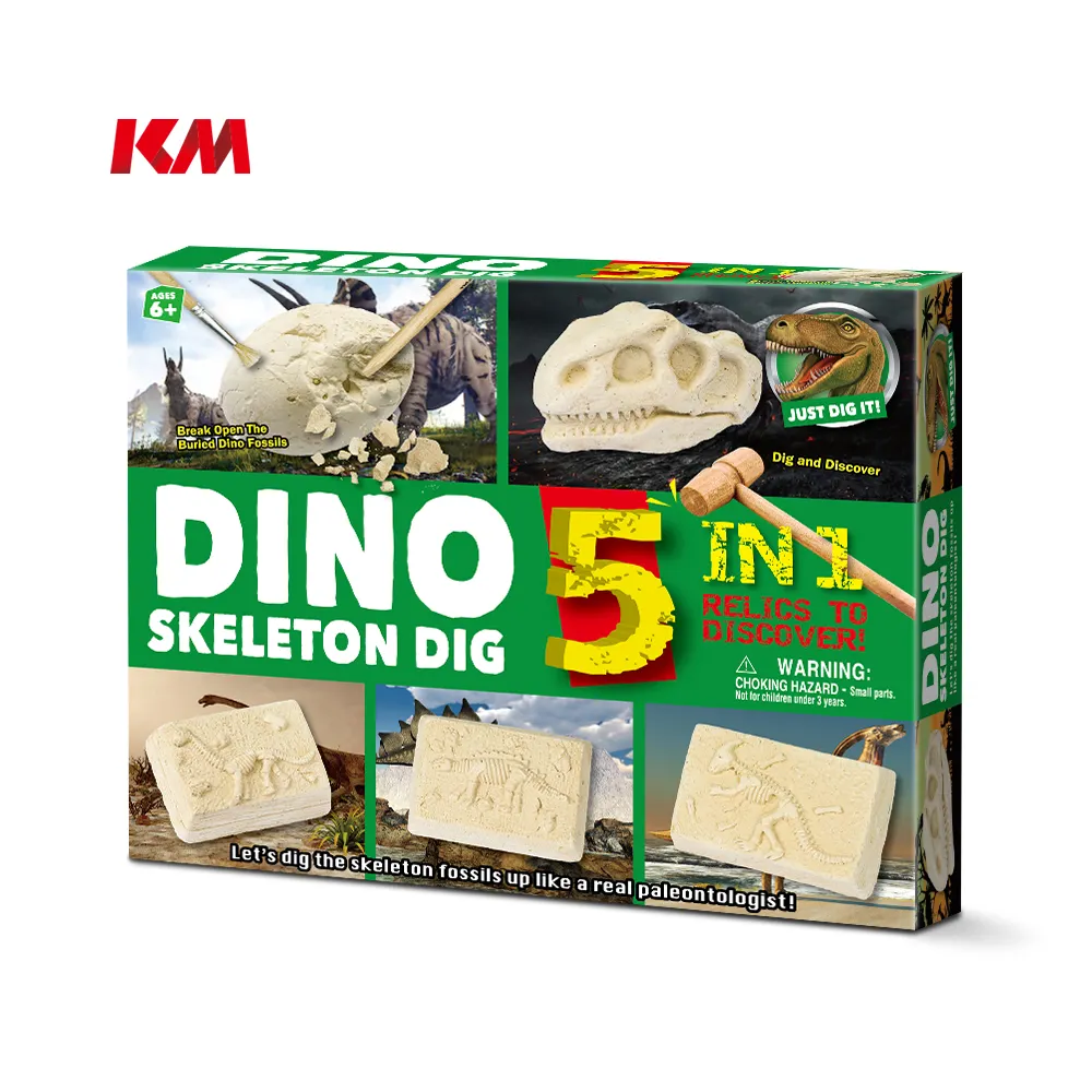 Grappige Dino Leren Skelet Speelgoed 5in1 Dinosaurus Speelgoed Opgraving Graven Kit Voor Kinderen Voorschoolse Educatieve Spelletjes Speelgoed