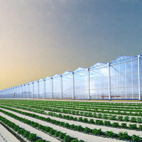 Grande serre solaire multi-voûtes en polycarbonate avec cadre en acier galvanisé à chaud à 4 couches et système hydroponique pour usage agricole