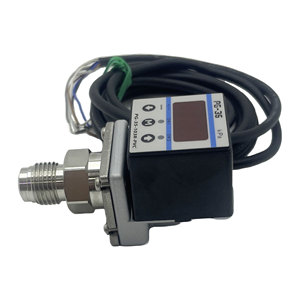 Sensor Industrial Pequeño de Alta Calidad PG-35-103R-PVC con Pantalla Numérica, Precisión del 0.1%, DC 4-20mA, 0-1MPa, 1 Año de Garantía - Product Image 2